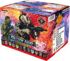 RACCOON SQUAD ASSORTMENT  - CASE 1/12